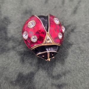 Vintage Ladybug Brooch - Red and Black